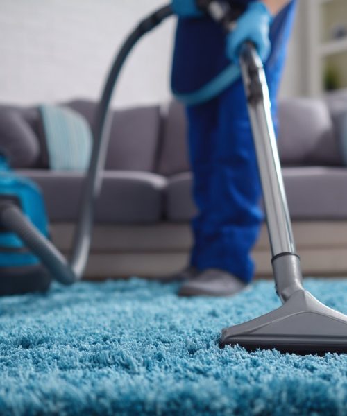 Top 5 Best Home Cleaning Services in Brisbane: Wellness-Approved by Our Team